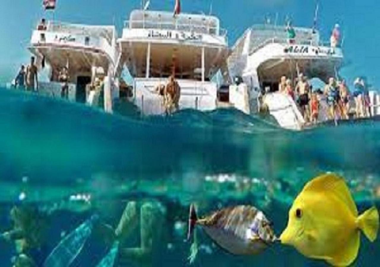 Joynant-Gouna Kite Road-2Room Mangroovy Free Beach Access - Pool View- Hurghada Esterno foto